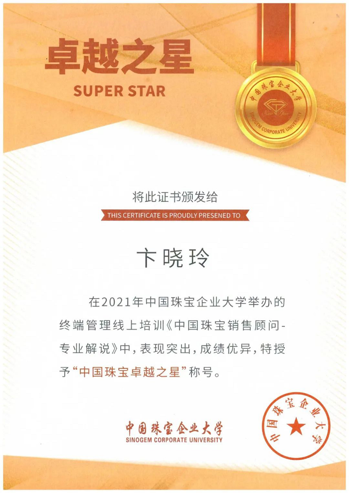 2024年新澳门精准免费大全2021年第二、三期线上培训成功举办275.png