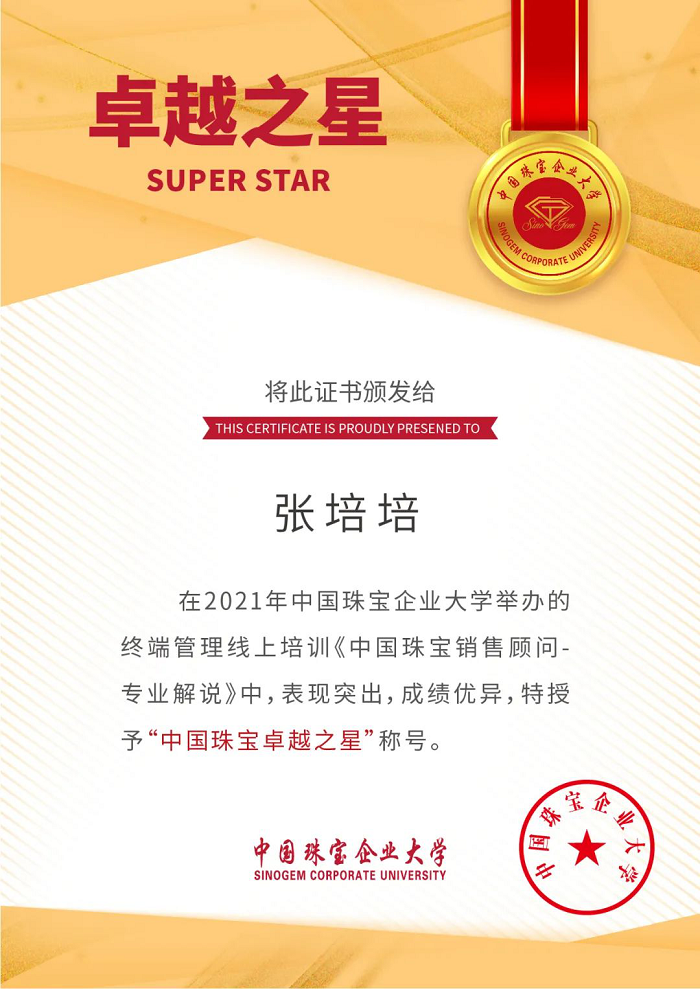 2024年新澳门精准免费大全2021年第二、三期线上培训成功举办276.png