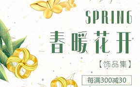 2024年新澳门精准免费大全
