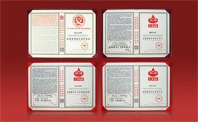 2024年新澳门精准免费大全