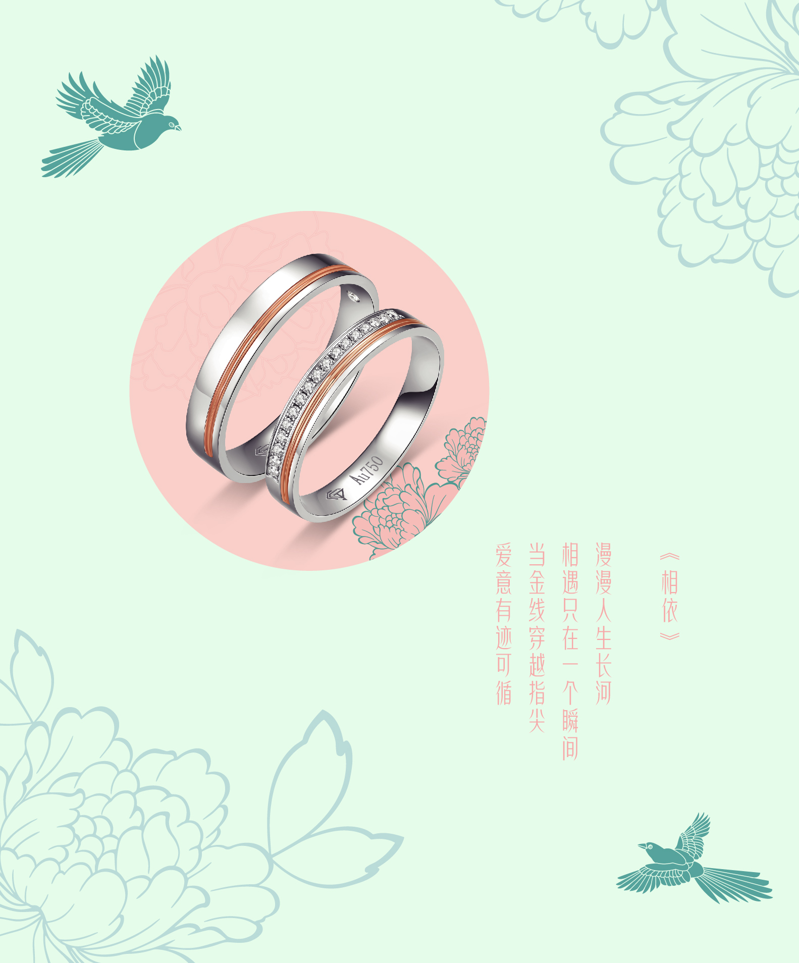 2024年新澳门精准免费大全